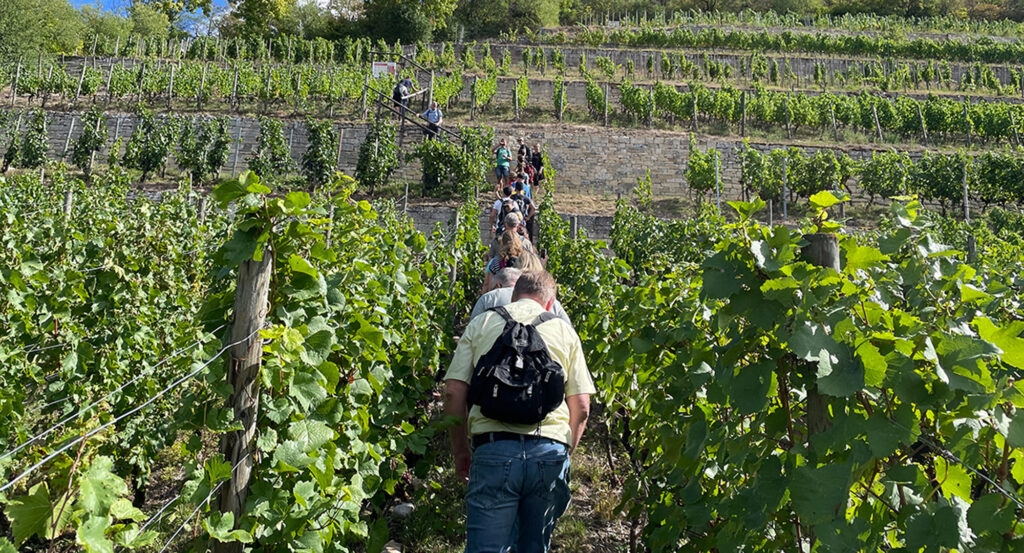 Wandern in Naumburg