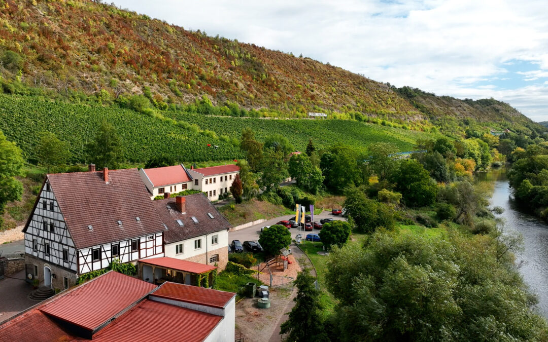 Landweingut Kloster Pforta